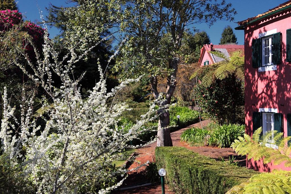 Quinta Santo Antonio Da Serra Εξωτερικό φωτογραφία