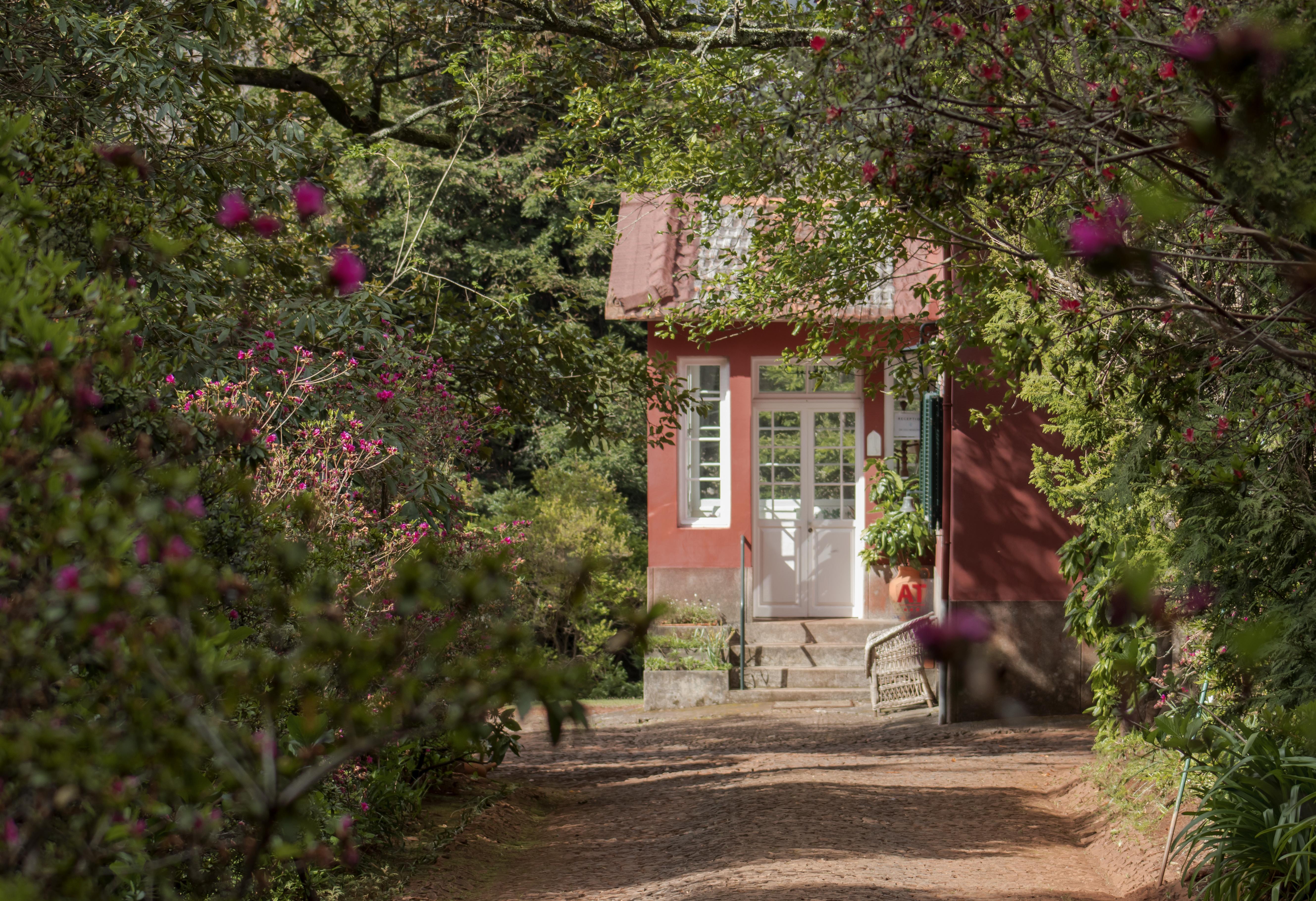 Quinta Santo Antonio Da Serra Εξωτερικό φωτογραφία