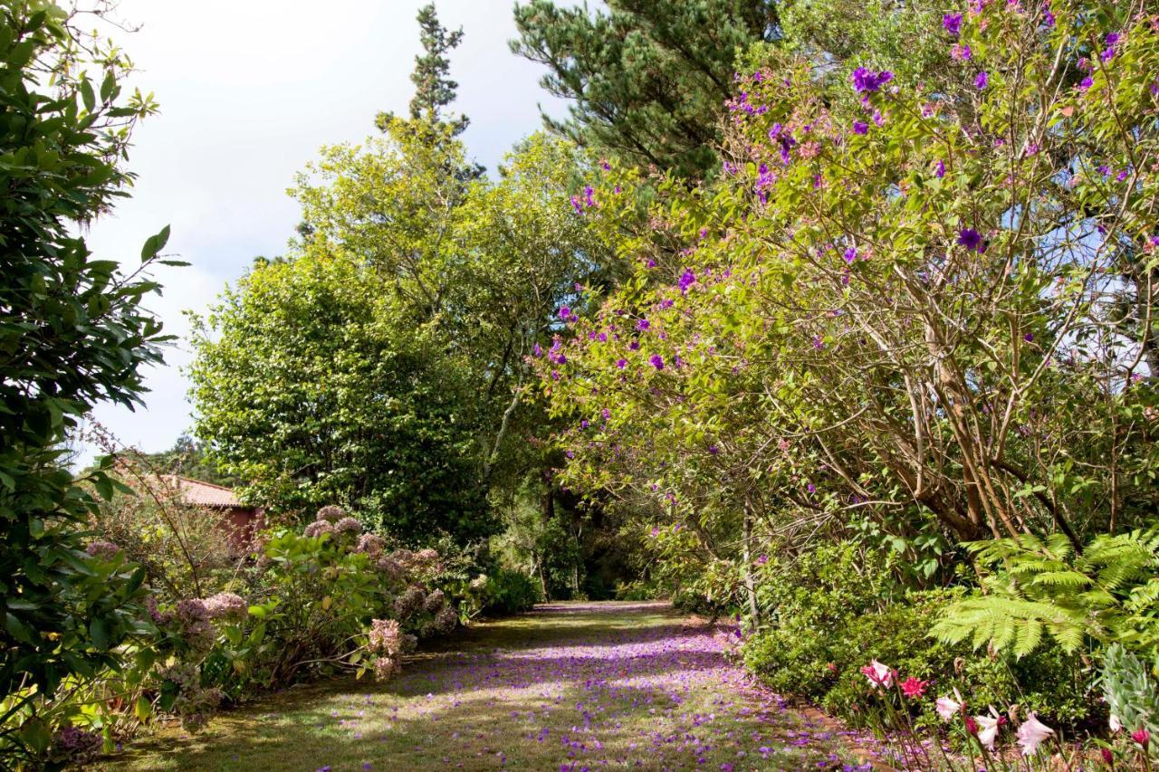 Quinta Santo Antonio Da Serra Εξωτερικό φωτογραφία